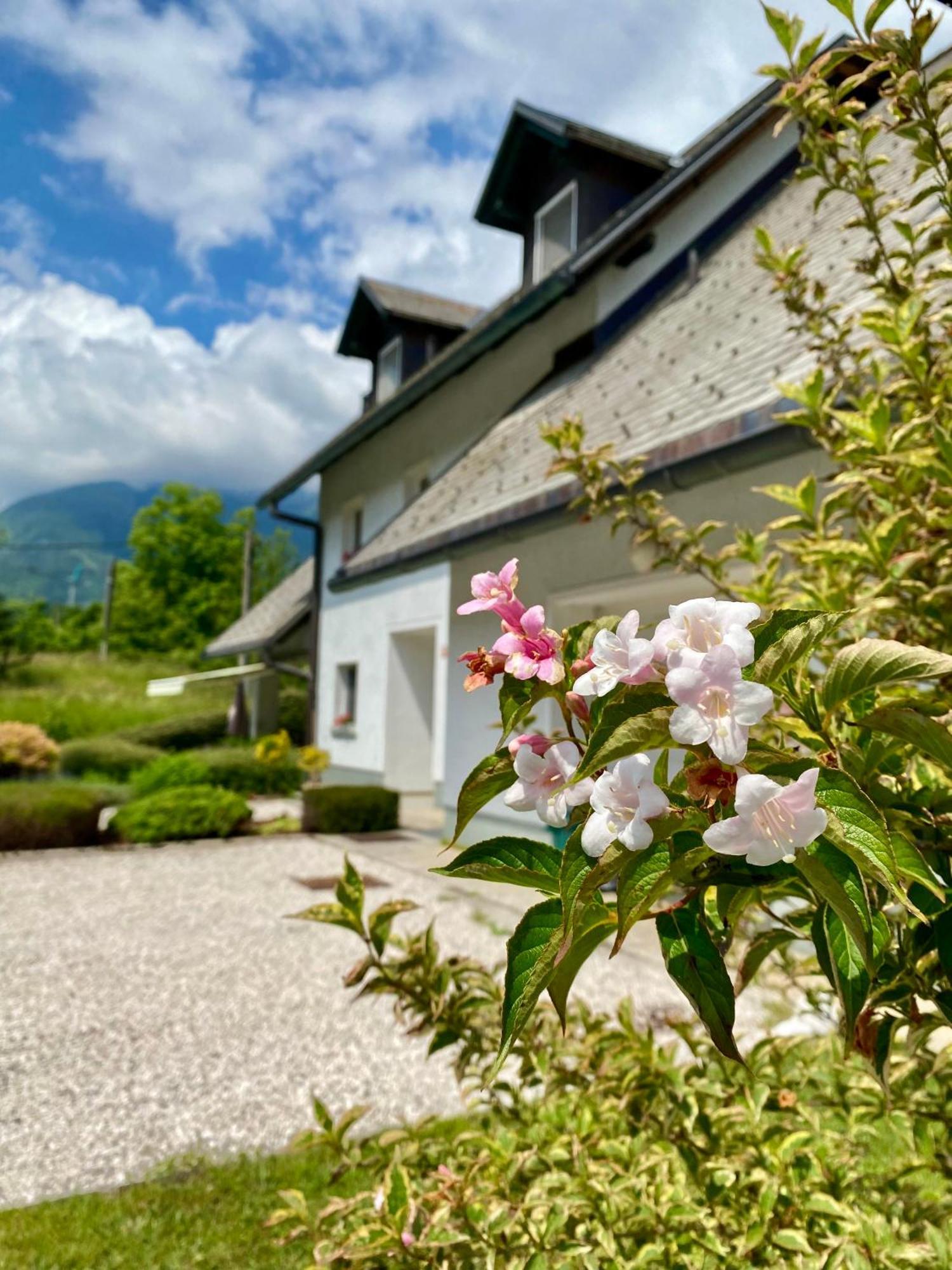 Apartments Alpha Center Bovec Εξωτερικό φωτογραφία